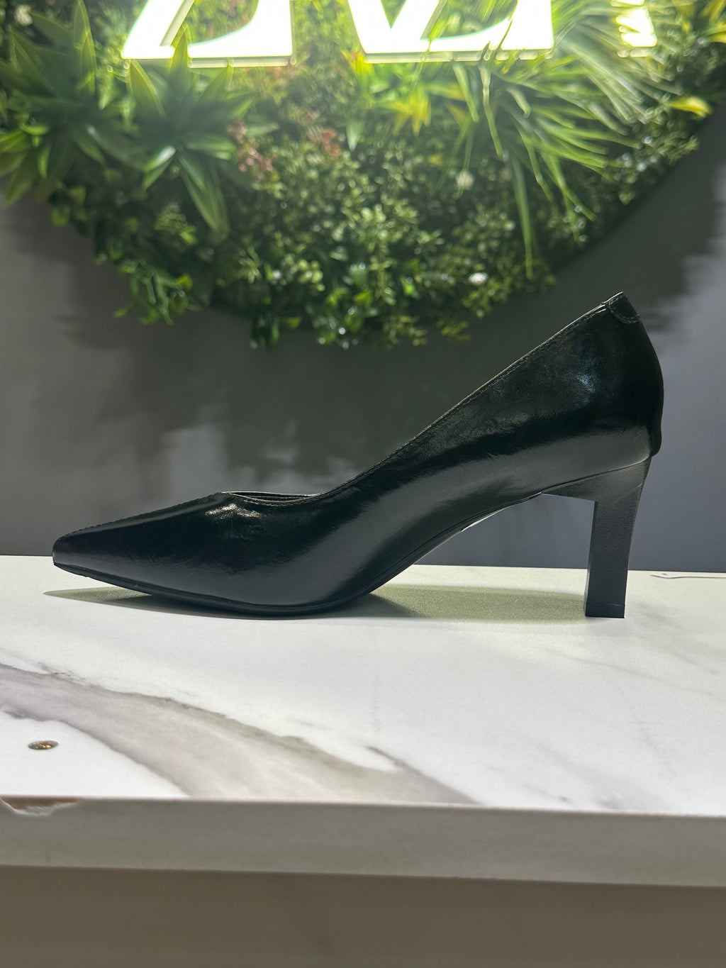 ZAZA Luna Classic Pointed Heel – Beige & Black