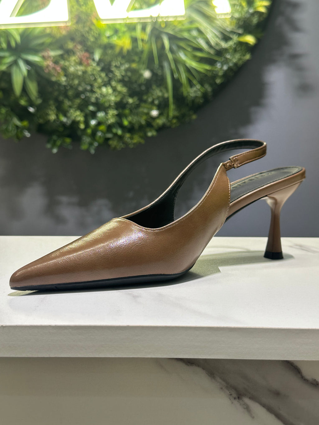 ZAZA Jane Pointed Slingback Heel